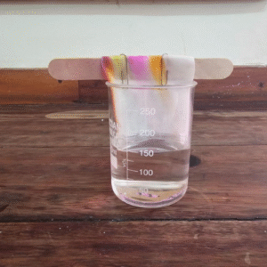 Chemistry in Action