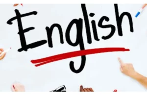 T3: ENGLISH NEWSLETTER